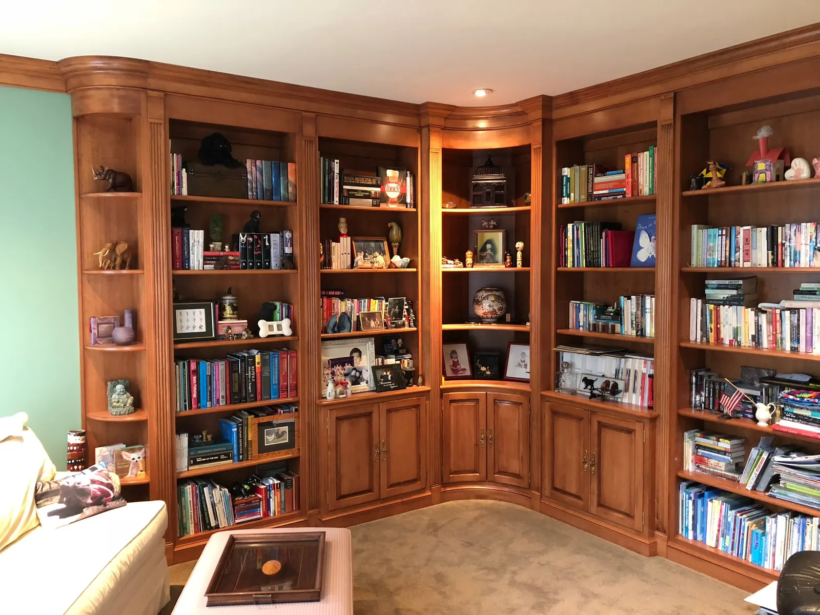 Wood bookcases filled with books, with lower cabinets and illuminated display shelves around a corner.